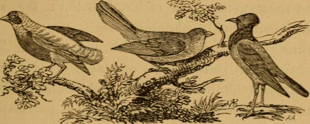 An illustration from The fountain; with jets of new meanings, 1870, leaf 49