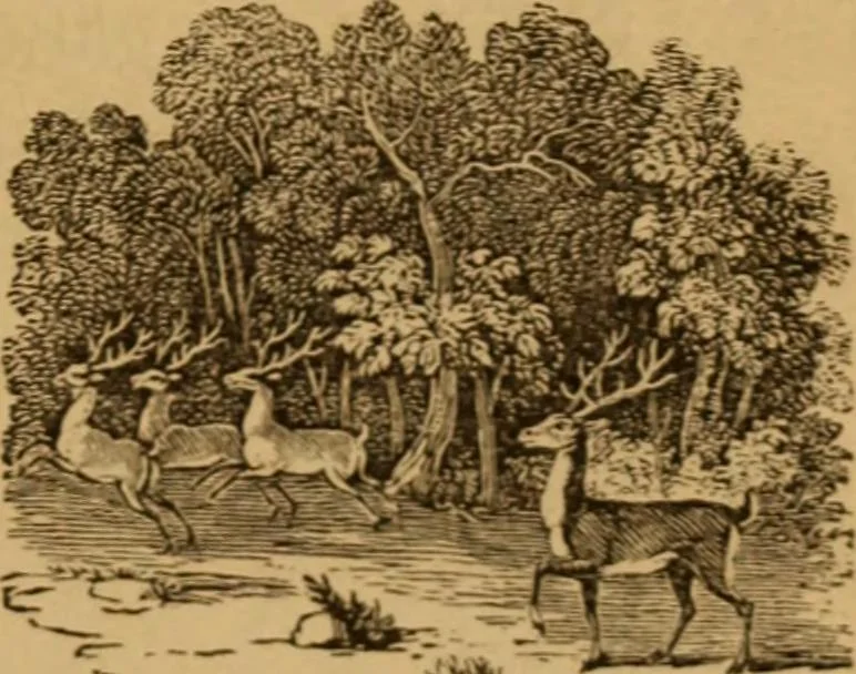 An illustration from The fountain; with jets of new meanings, 1870, leaf 55