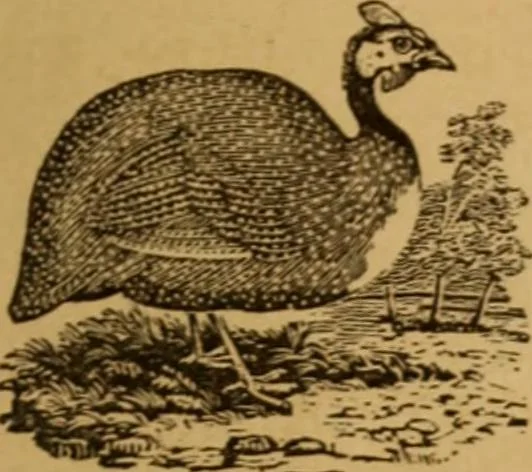 An illustration from The fountain; with jets of new meanings, 1870, leaf 57