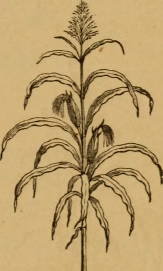 An illustration from The fountain; with jets of new meanings, 1870, leaf 57