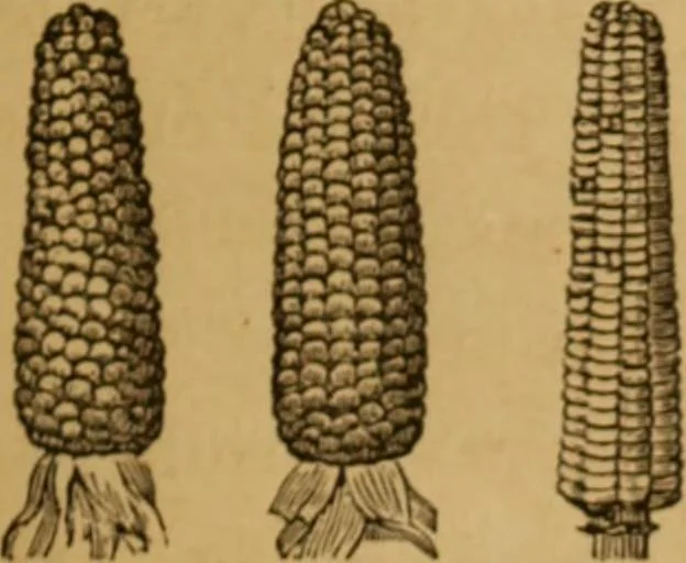 An illustration from The fountain; with jets of new meanings, 1870, leaf 57