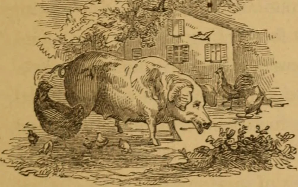 An illustration from The fountain; with jets of new meanings, 1870, leaf 63