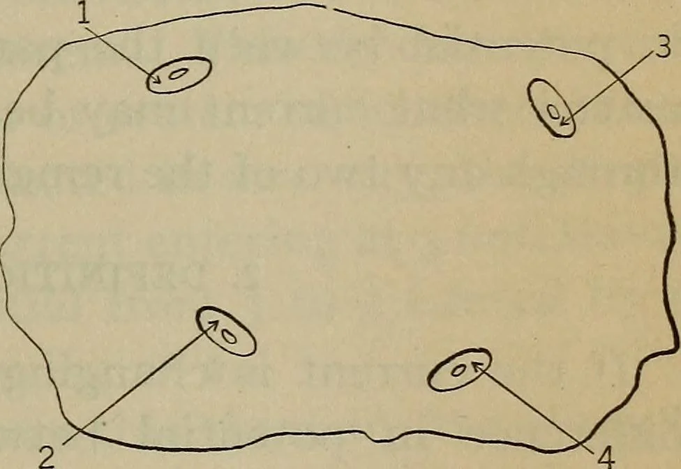 An illustration from The four-terminal conductor and the Thomson bridge, 1912, leaf 7