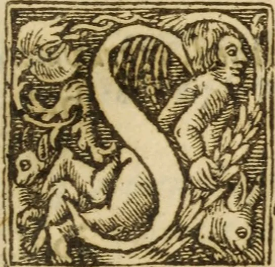 An illustration from Foure godly and learned treatises .., 1633, leaf 802