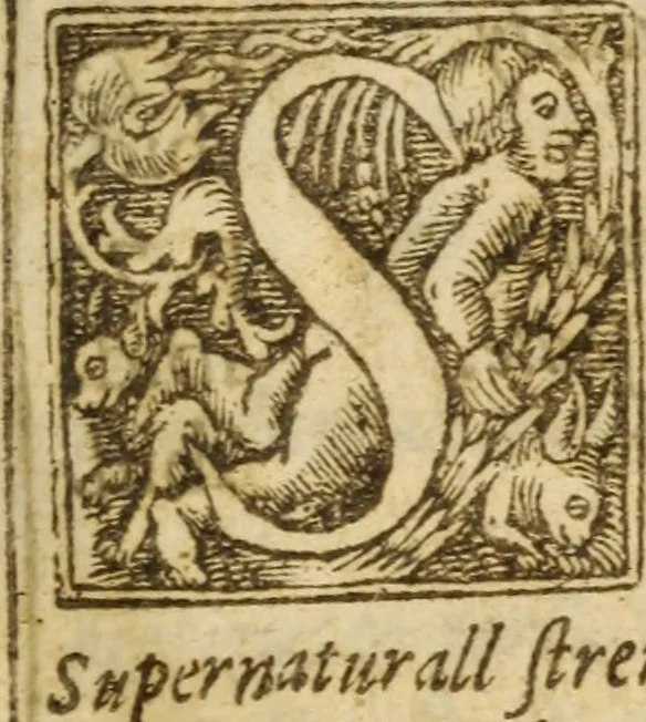 An illustration from Foure godly and learned treatises .., 1633, leaf 866