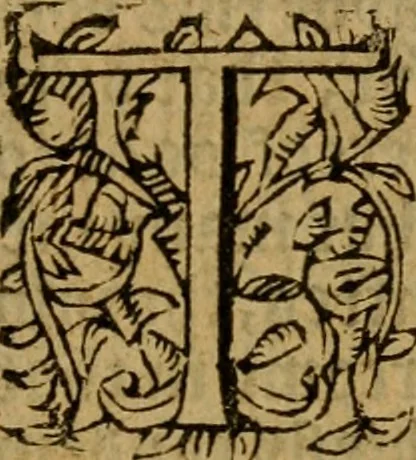 An illustration from Foure Godlye sermons agaynst the pollution of idolatries : comforting men in persecutions, and teachyng them what commodities thei shal find in Christes church : which were preached in French by the moste famous clarke Jhon Calvyne : and translated fyrst into Latine and afterward into Englishe by divers Godly learned men, 1561, leaf 14
