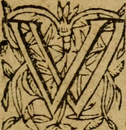 An illustration from Foure Godlye sermons agaynst the pollution of idolatries : comforting men in persecutions, and teachyng them what commodities thei shal find in Christes church : which were preached in French by the moste famous clarke Jhon Calvyne : and translated fyrst into Latine and afterward into Englishe by divers Godly learned men, 1561, leaf 202