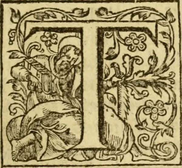 An illustration from Foure sermons of Maister Iohn Calvin : entreating of matters very profitable for our time, as may bee seene by the preface, with a briefe exposition of the LXXXVII. Psalme, 1579, leaf 120