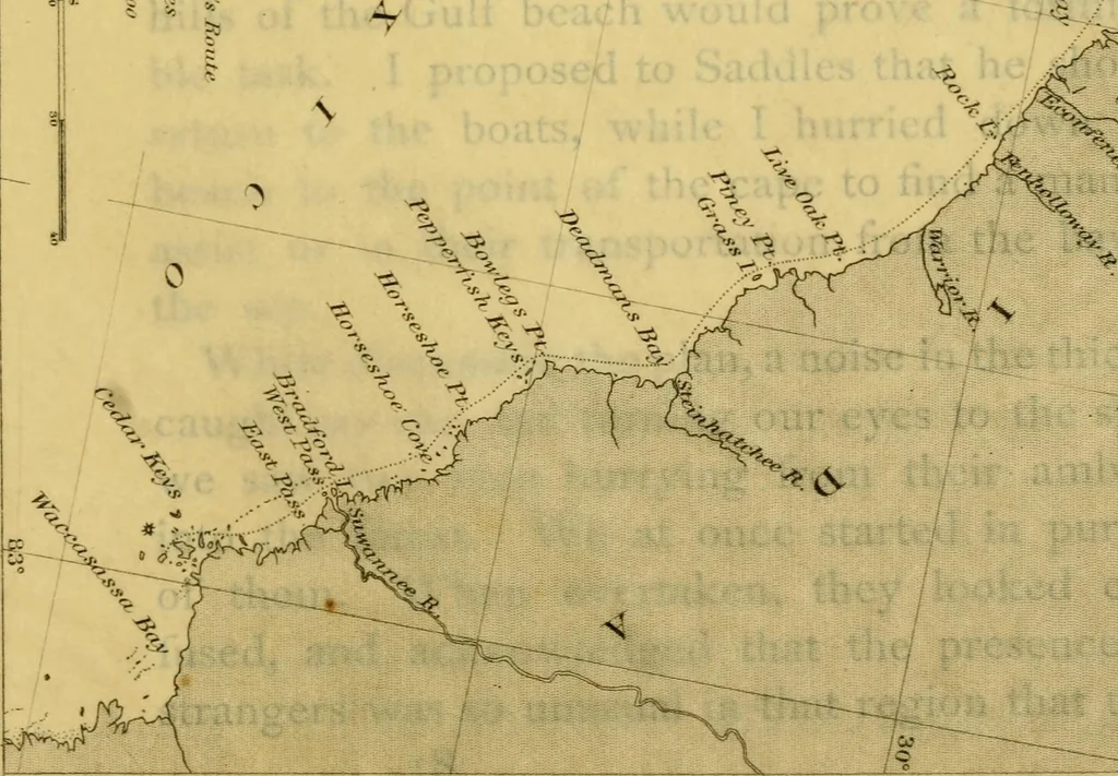 An illustration from Four months in a sneak-box. A boat voyage of 2600 miles down the Ohio and Mississippi rivers, 1879, leaf 302