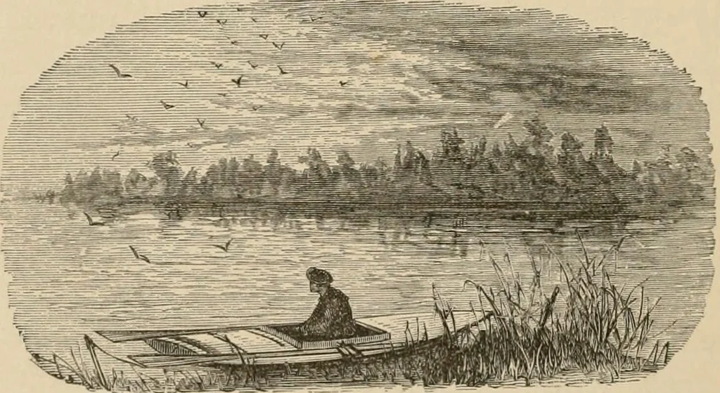 An illustration from Four months in a sneak-box : a boat voyage of 2600 miles down the Ohio and Mississippi Rivers, and along the Gulf of Mexico, 1879, leaf 351