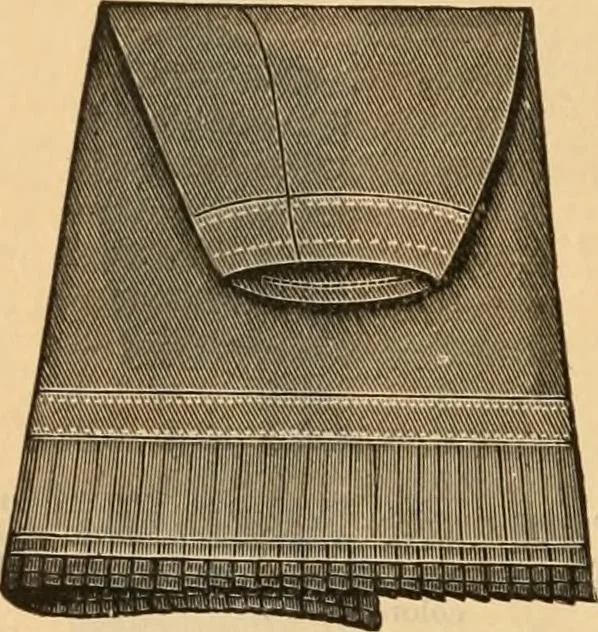 An illustration from Fox and Kelly's fashion catalogue illustrated : fall and winter 1888-9., 1888, leaf 19
