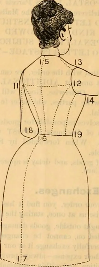 An illustration from Fox and Kelly's fashion catalogue illustrated : fall and winter 1888-9., 1888, leaf 5