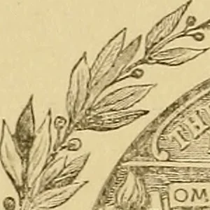 An illustration from Fra Angelico, 1881, leaf 1