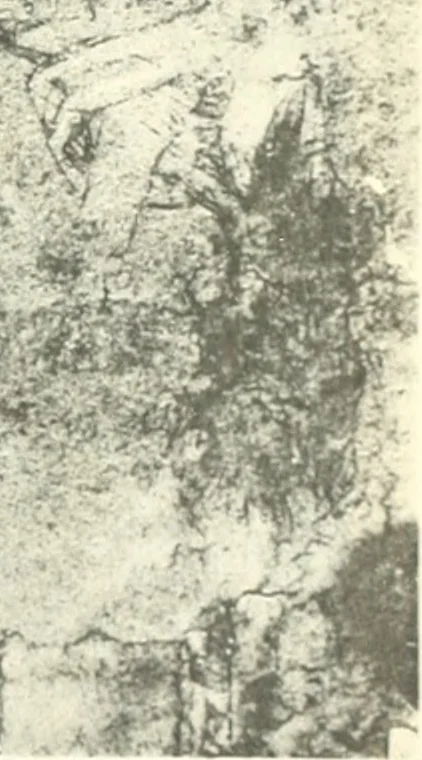 An illustration from Fra Bartolommeo und die Florentiner Renaissance, 1922, leaf 376