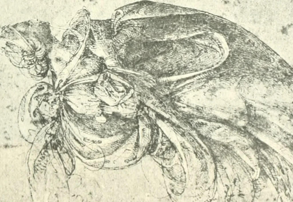 An illustration from Fra Bartolommeo und die Florentiner Renaissance, 1922, leaf 378