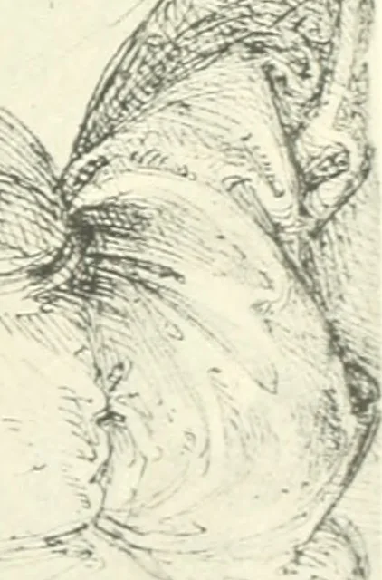 An illustration from Fra Bartolommeo und die Florentiner Renaissance, 1922, leaf 384