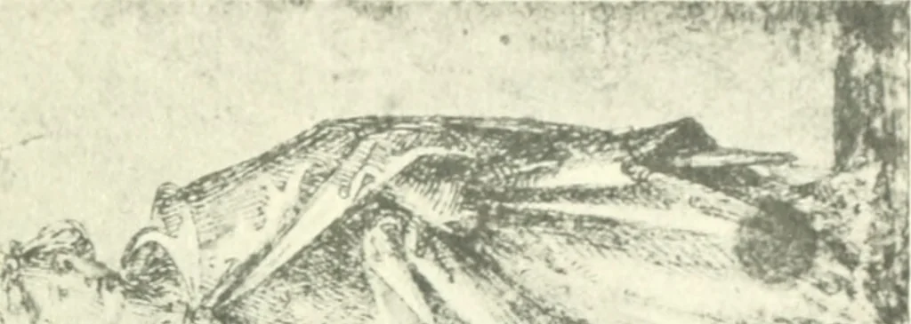 An illustration from Fra Bartolommeo und die Florentiner Renaissance, 1922, leaf 386