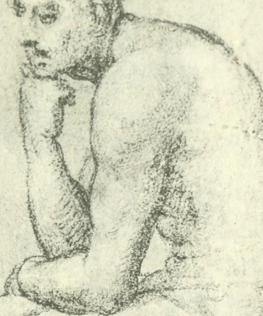 An illustration from Fra Bartolommeo und die Florentiner Renaissance, 1922, leaf 396