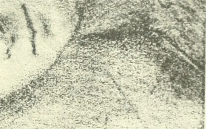 An illustration from Fra Bartolommeo und die Florentiner Renaissance, 1922, leaf 408