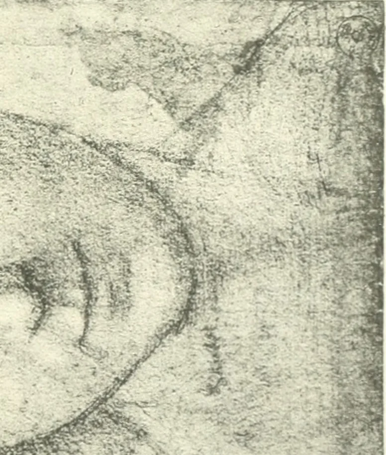 An illustration from Fra Bartolommeo und die Florentiner Renaissance, 1922, leaf 408