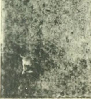 An illustration from Fra Bartolommeo und die Florentiner Renaissance, 1922, leaf 432