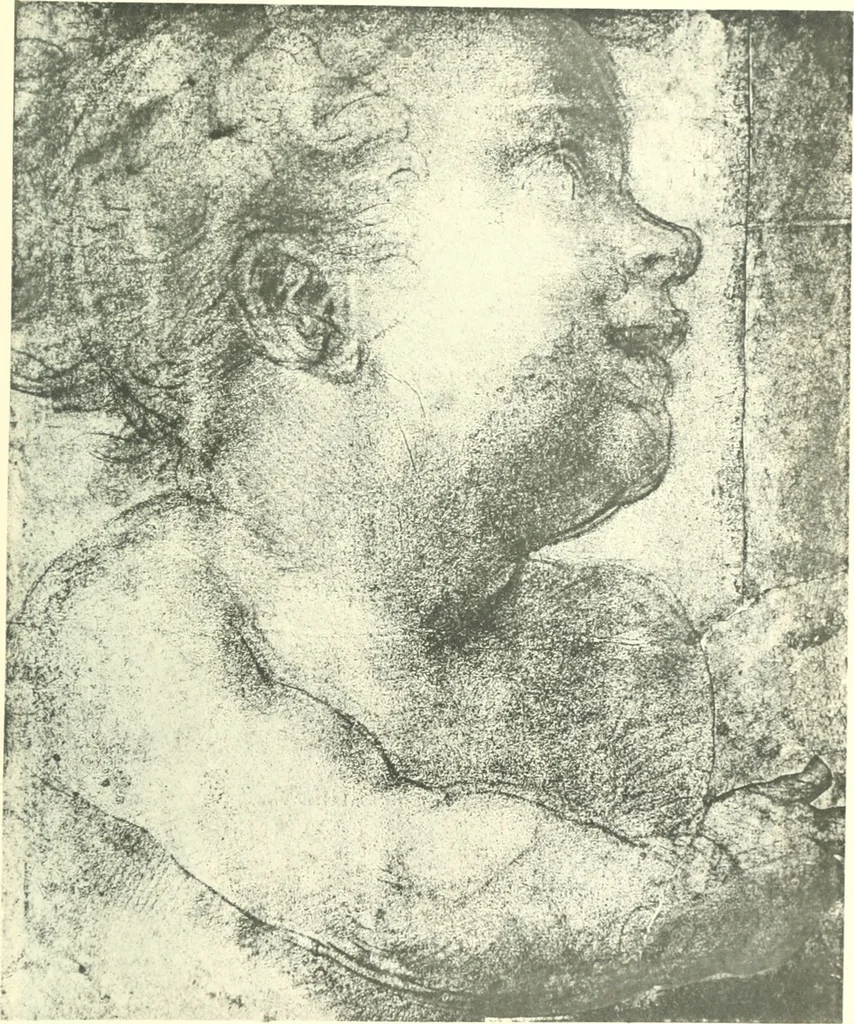 An illustration from Fra Bartolommeo und die Florentiner Renaissance, 1922, leaf 434
