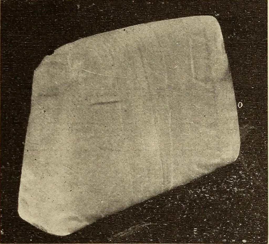 An illustration from Fractures and dislocations, diagnosis and treatment, 1915, leaf 130