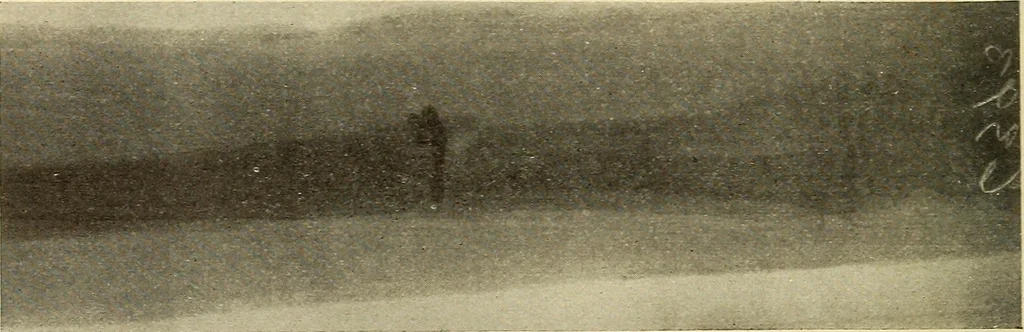 An illustration from Fractures and dislocations, diagnosis and treatment, 1915, leaf 239