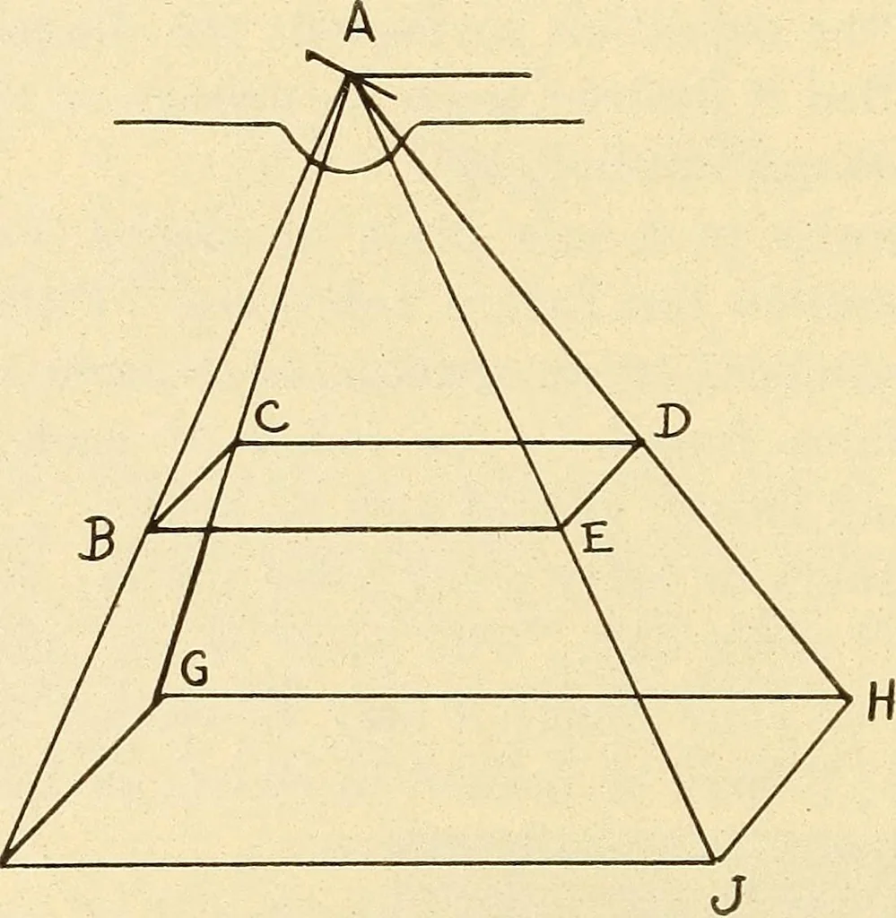 An illustration from Fractures and dislocations, diagnosis and treatment, 1915, leaf 771
