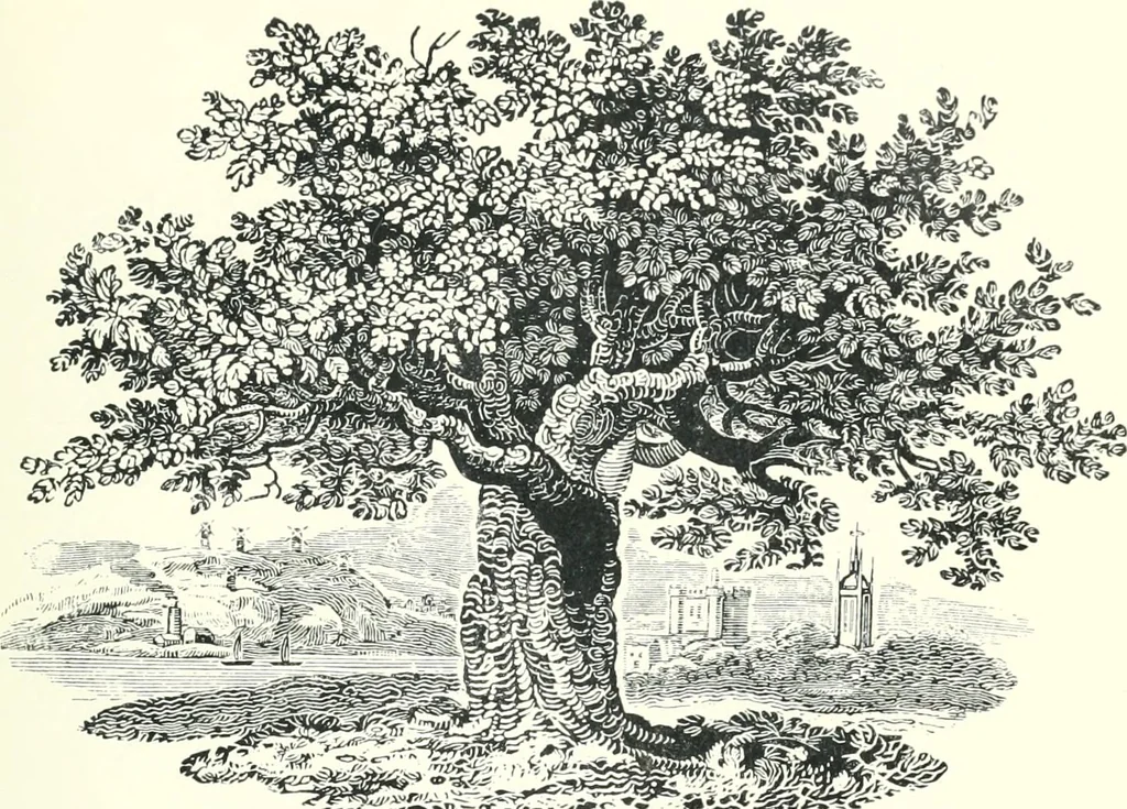 An illustration from Fragrance among old volumes; essays and idylls of a book lover, 1910, leaf 64
