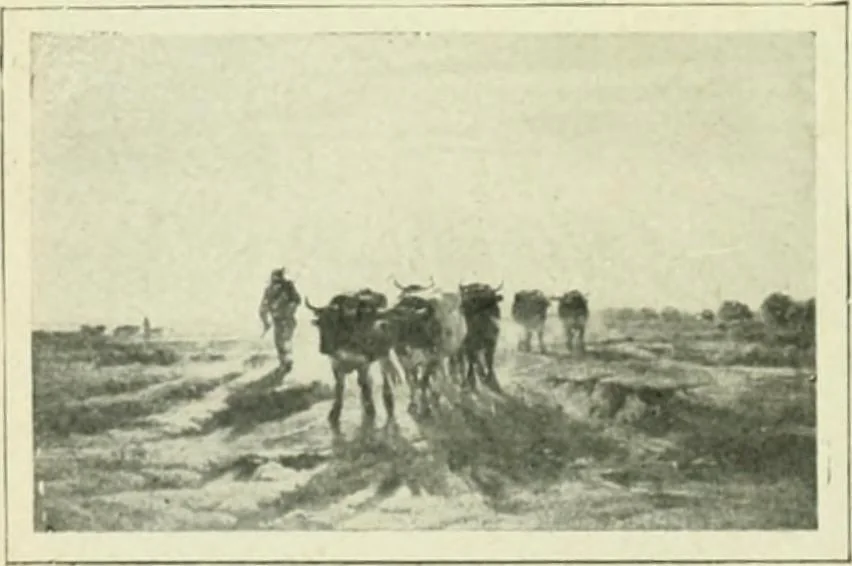 An illustration from France, 1911, leaf 387