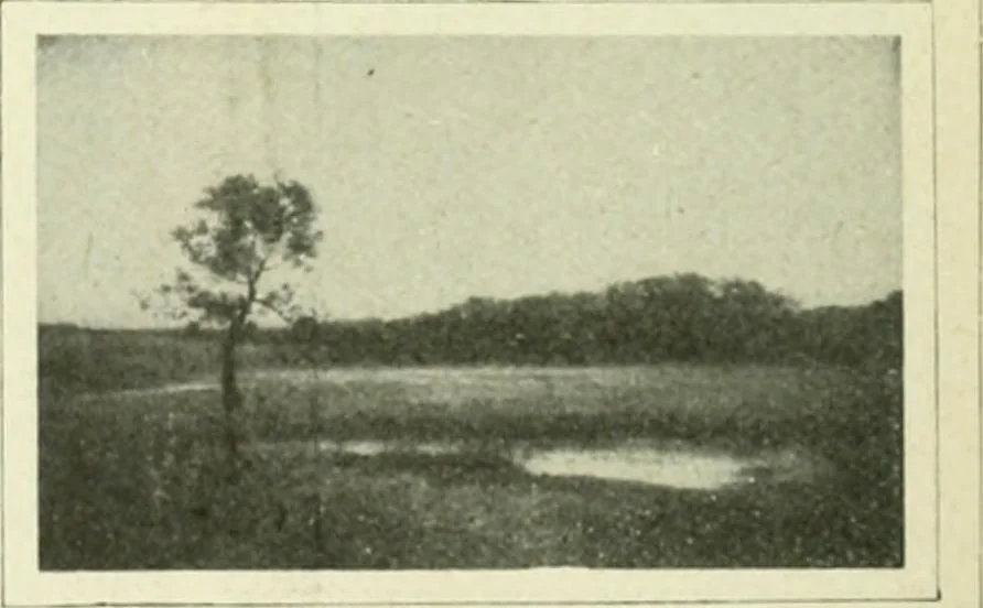 An illustration from France, 1911, leaf 427