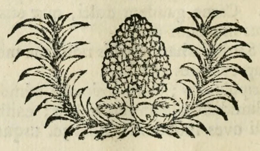 An illustration from Franc. Ern. Bruckmanni, med. doct. acad. caesar. nat. cur. et soc., reg. Pruss. Scient. Colleg. et practic. Wolffenb. Epistola itineraria I-[XII] .., 1728, leaf 100