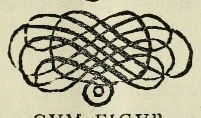 An illustration from Franc. Ern. Bruckmanni, med. doct. acad. caesar. nat. cur. et soc., reg. Pruss. Scient. Colleg. et practic. Wolffenb. Epistola itineraria I-[XII] .., 1728, leaf 111