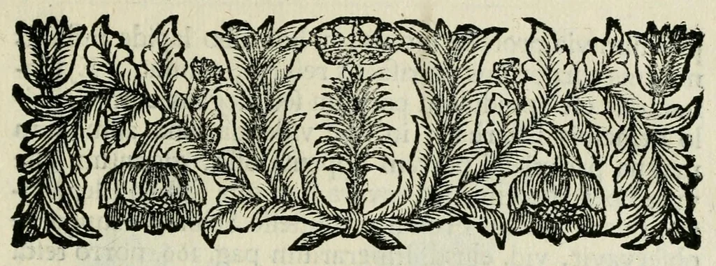 An illustration from Franc. Ern. Bruckmanni, med. doct. acad. caesar. nat. cur. et soc., reg. Pruss. Scient. Colleg. et practic. Wolffenb. Epistola itineraria I-[XII] .., 1728, leaf 113
