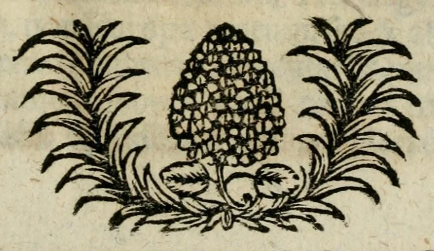 An illustration from Franc. Ern. Bruckmanni, med. doct. acad. caesar. nat. cur. et soc., reg. Pruss. Scient. Colleg. et practic. Wolffenb. Epistola itineraria I-[XII] .., 1728, leaf 15
