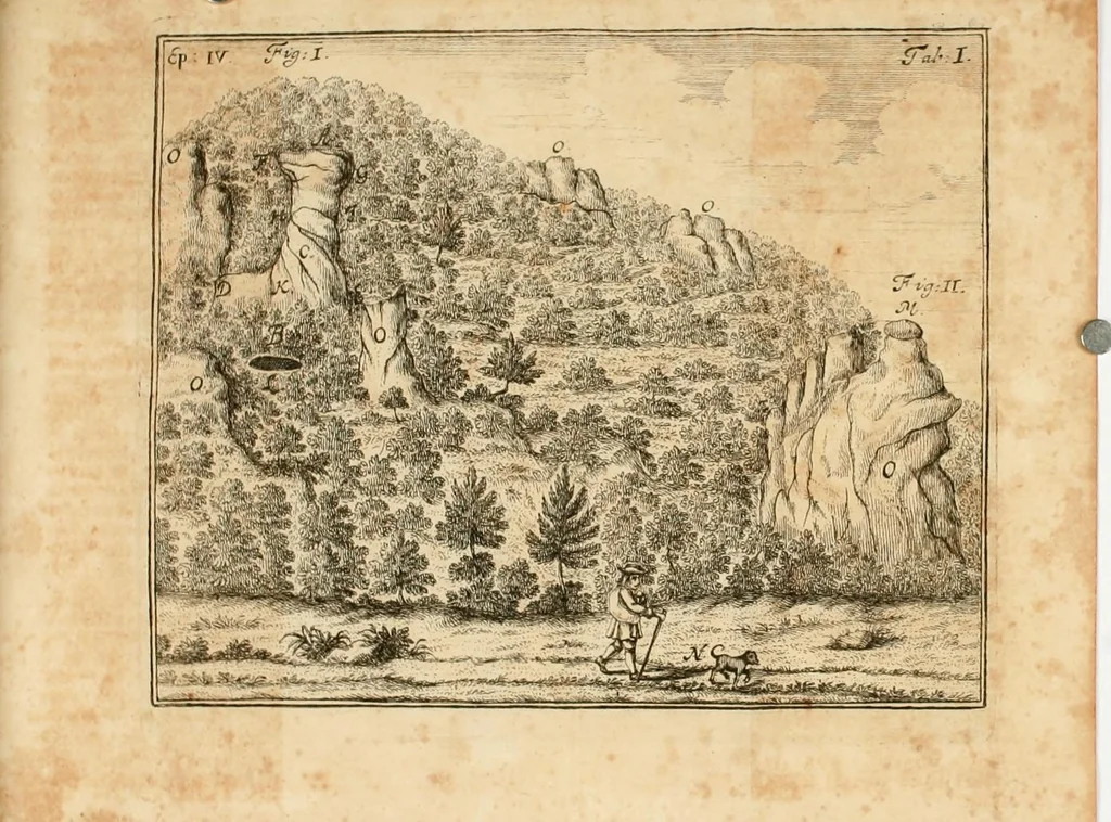 An illustration from Franc. Ern. Bruckmanni, med. doct. acad. caesar. nat. cur. et soc., reg. Pruss. Scient. Colleg. et practic. Wolffenb. Epistola itineraria I-[XII] .., 1728, leaf 42