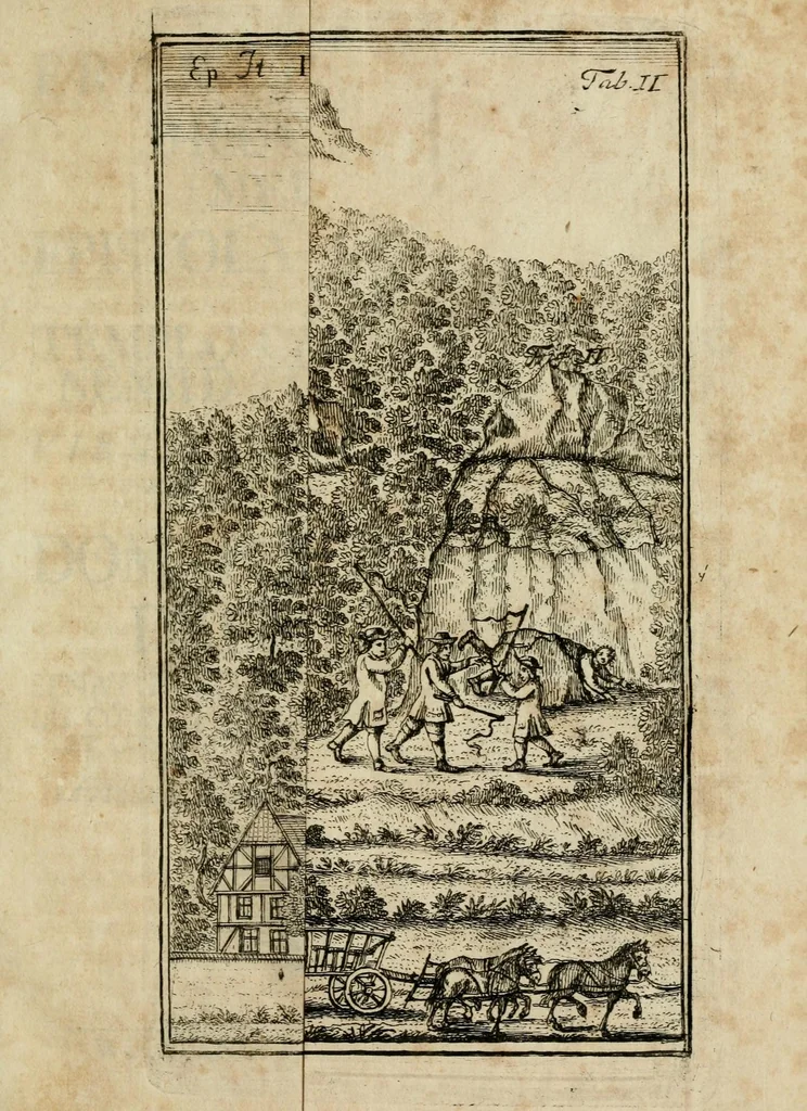 An illustration from Franc. Ern. Bruckmanni, med. doct. acad. caesar. nat. cur. et soc., reg. Pruss. Scient. Colleg. et practic. Wolffenb. Epistola itineraria I-[XII] .., 1728, leaf 43