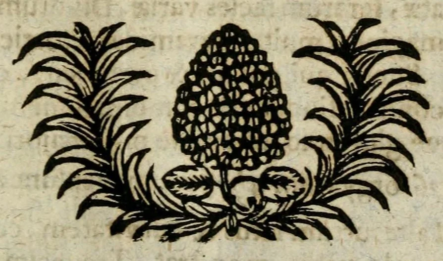 An illustration from Franc. Ern. Bruckmanni, med. doct. acad. caesar. nat. cur. et soc., reg. Pruss. Scient. Colleg. et practic. Wolffenb. Epistola itineraria I-[XII] .., 1728, leaf 45
