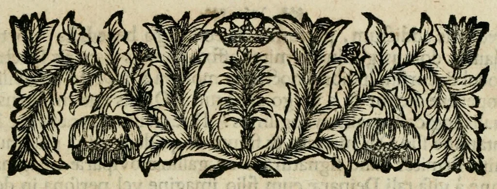 An illustration from Franc. Ern. Bruckmanni, med. doct. acad. caesar. nat. cur. et soc., reg. Pruss. Scient. Colleg. et practic. Wolffenb. Epistola itineraria I-[XII] .., 1728, leaf 59