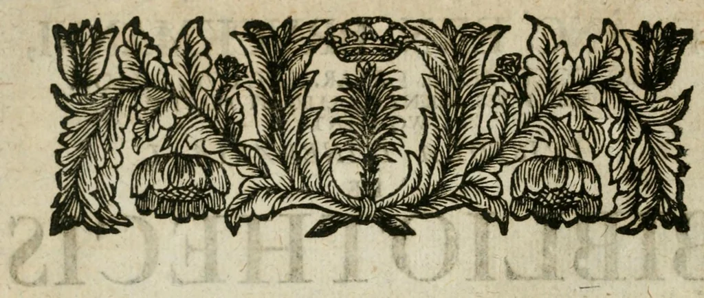 An illustration from Franc. Ern. Bruckmanni, med. doct. acad. caesar. nat. cur. et soc., reg. Pruss. Scient. Colleg. et practic. Wolffenb. Epistola itineraria I-[XII] .., 1728, leaf 6