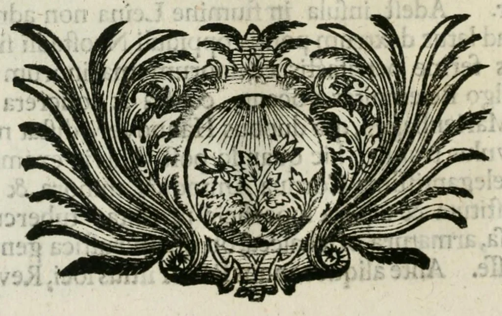 An illustration from Franc. Ern. Bruckmanni, med. doct. acad. caesar. nat. cur. et soc., reg. Pruss. Scient. Colleg. et practic. Wolffenb. Epistola itineraria I-[XII] .., 1728, leaf 78