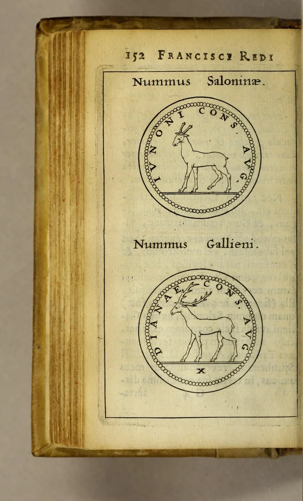 An illustration from Francesci Redi, nobilis Aretini, Experimenta circa res diversas naturales, speciatim illas, quae ex Indiis adfernatur. : Ex Italico Latinate donata, 1675, leaf 172