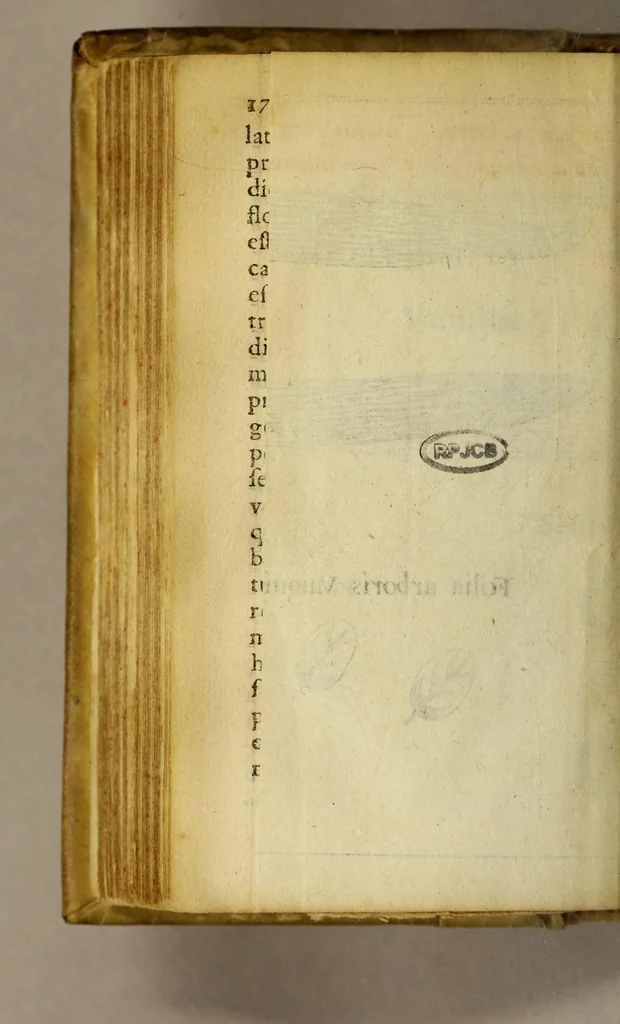 An illustration from Francesci Redi, nobilis Aretini, Experimenta circa res diversas naturales, speciatim illas, quae ex Indiis adfernatur. : Ex Italico Latinate donata, 1675, leaf 208