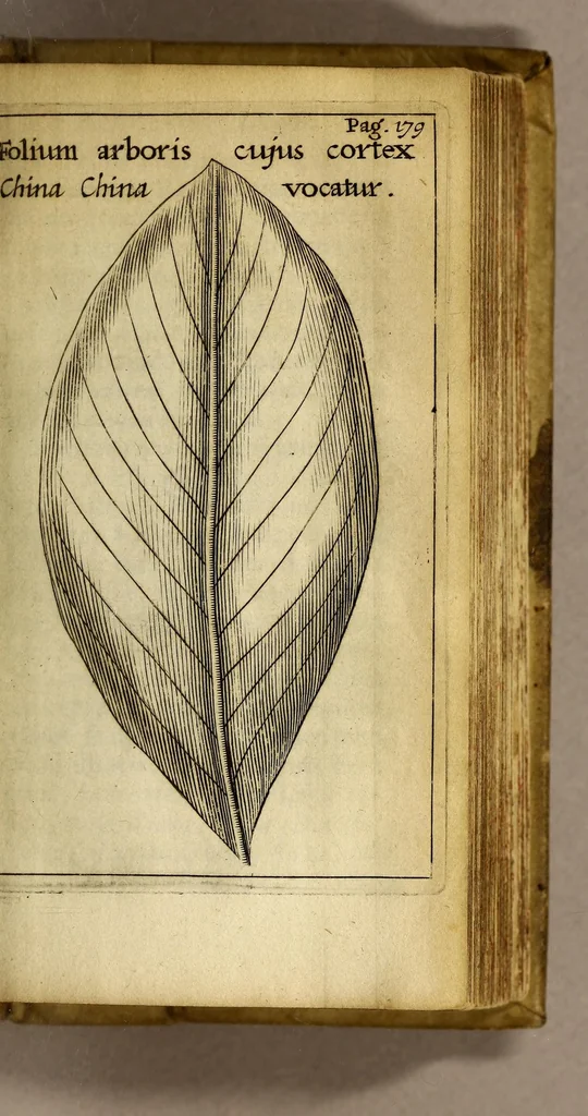 An illustration from Francesci Redi, nobilis Aretini, Experimenta circa res diversas naturales, speciatim illas, quae ex Indiis adfernatur. : Ex Italico Latinate donata, 1675, leaf 209