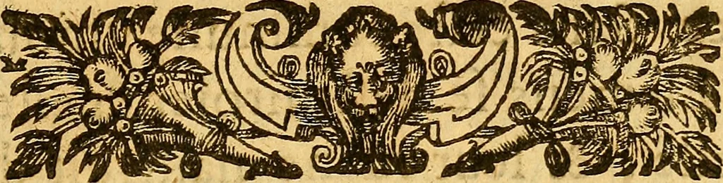An illustration from Franc et libre discovrs, : ov, advis avx depvtez des trois Estats, pour la Reformation d'iceux., 1614, leaf 10