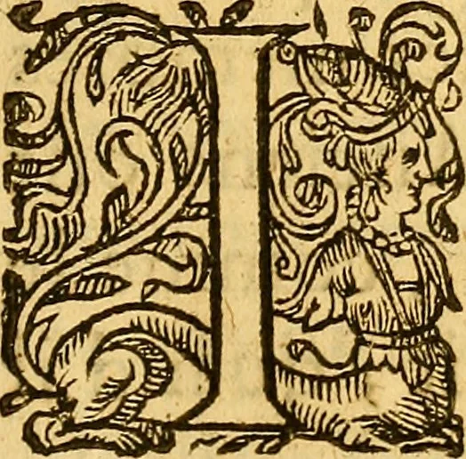 An illustration from Franc et libre discovrs, : ov, advis avx depvtez des trois Estats, pour la Reformation d'iceux., 1614, leaf 10