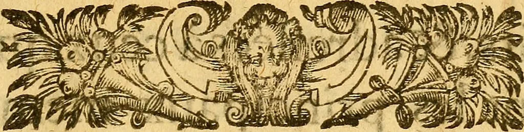 An illustration from Franc et libre discovrs, : ov, advis avx depvtez des trois Estats, pour la Reformation d'iceux., 1614, leaf 4