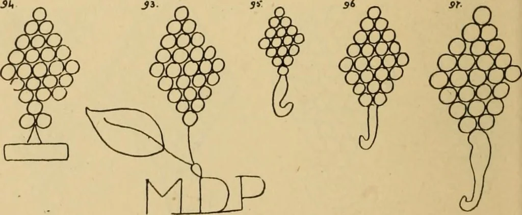 An illustration from Francis Bacon and his secret society. An attempt to collect and unite the lost links of a long and strong chain, 1891, leaf 392