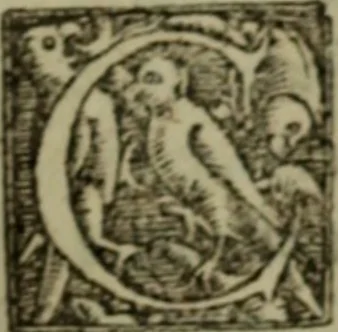 An illustration from Franciscanus & fratres, quibus accessere varia eiusdem & aliorum poemata pagina, 1568, leaf 404